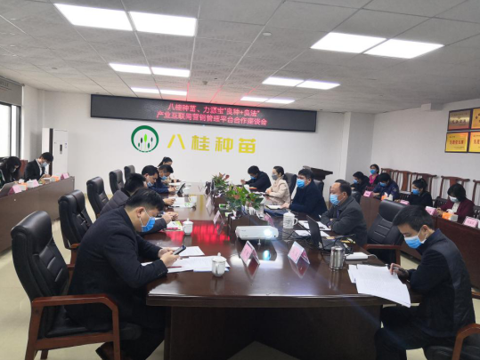 “良种+良法”产业互联网营销管理平台合作座谈会在八桂公司召开