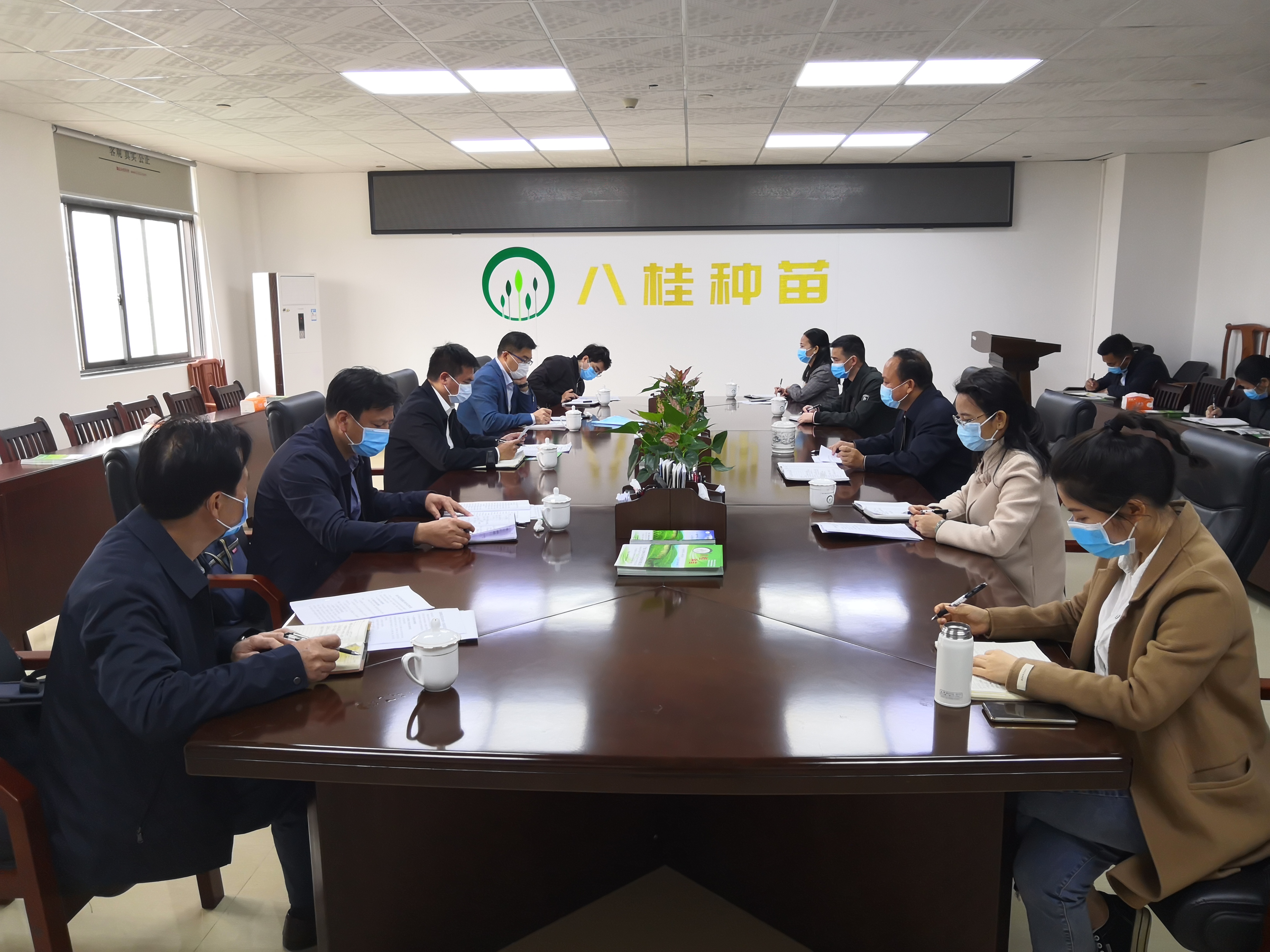 陆志星:多举措促进八桂种苗公司发展