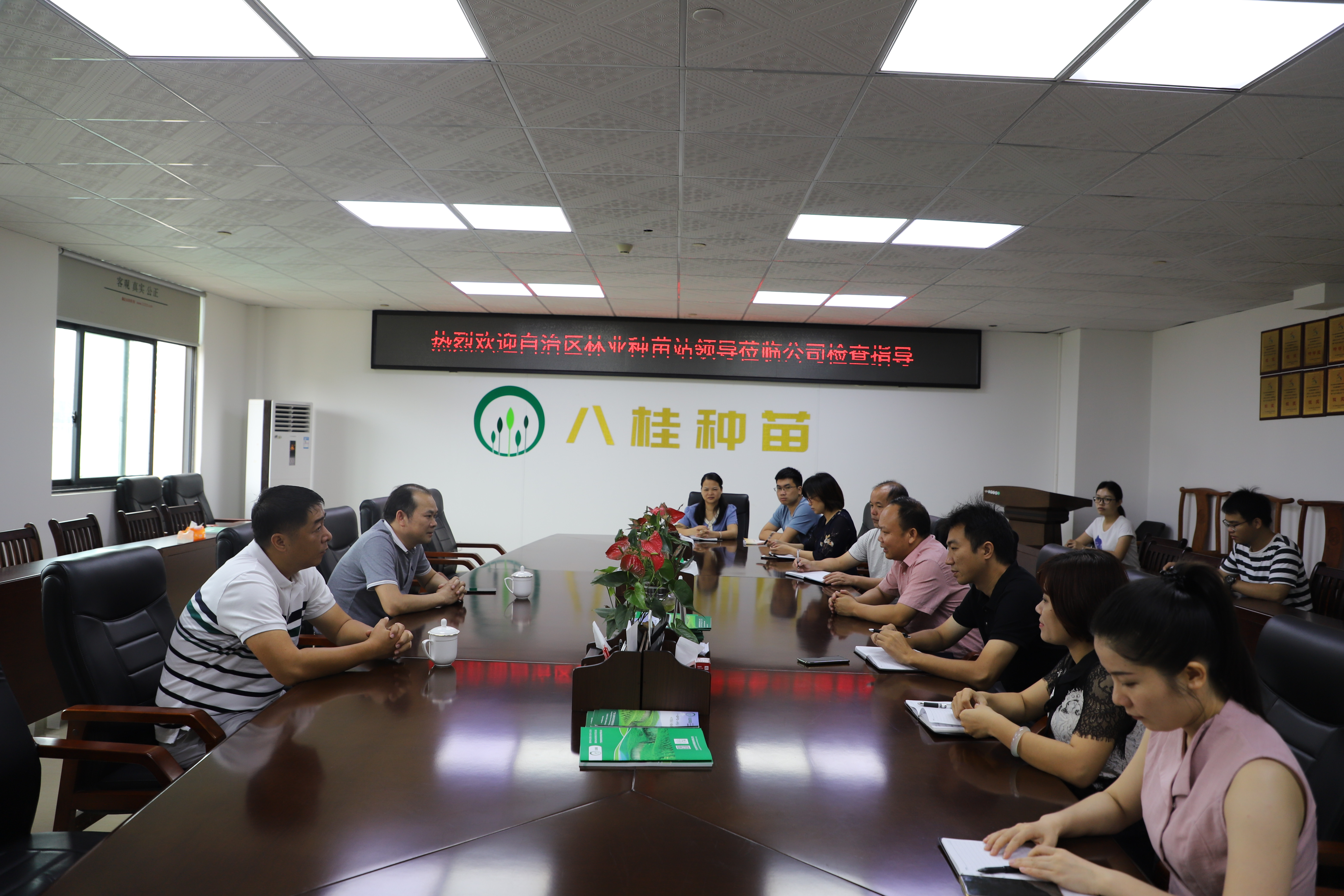 自治区林业种苗站站长黄伯高到八桂种苗公司调研