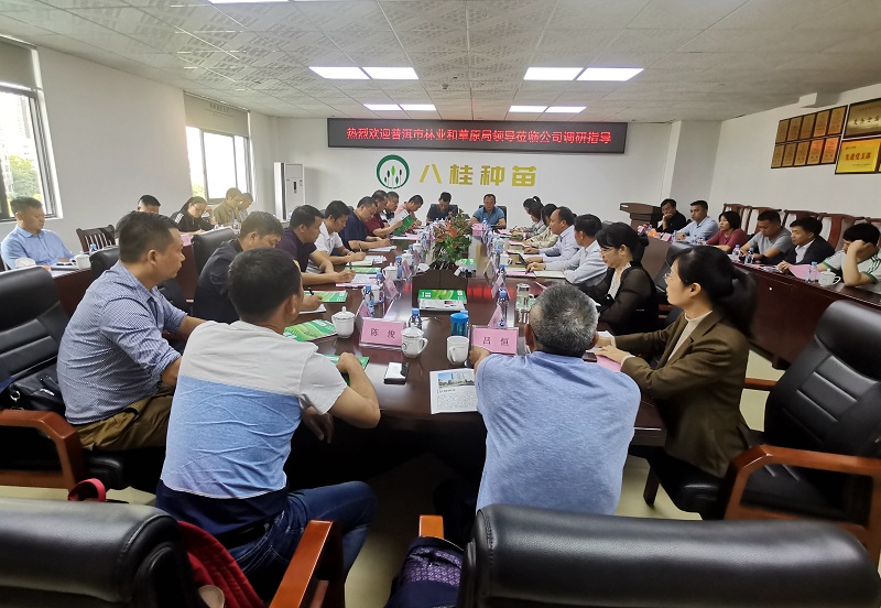 普洱市林业局到八桂种苗公司调研