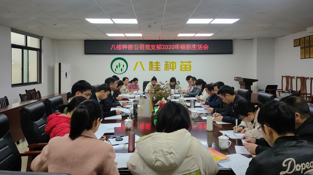 八桂种苗公司党支部召开2020年度组织生活会