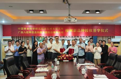 中国林科院速生树木研究所与广西八桂种苗集团举行桉树新品种独家授权签约仪式