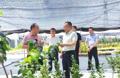 龚勇明到八桂种苗集团调研