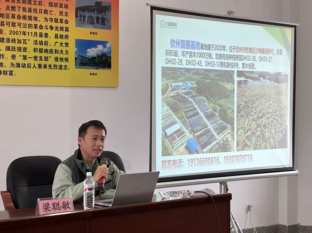 八桂种苗集团参与浦北林业科技培训会 助力技术推广