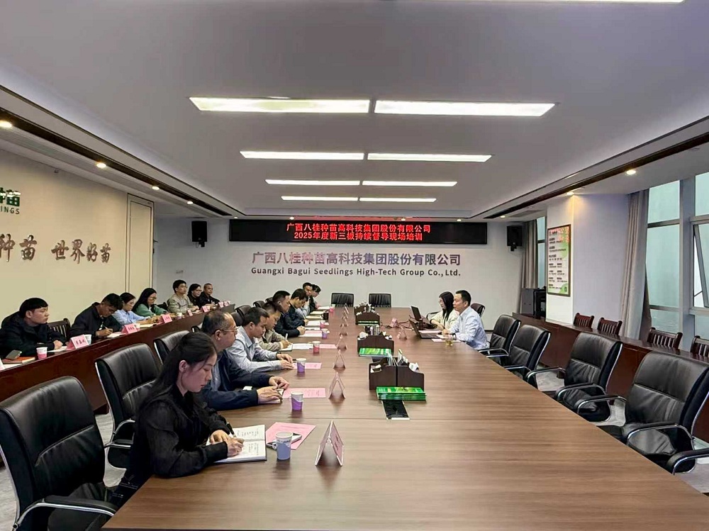 八桂种苗集团举办2025年度新三板持续督导现场培训会