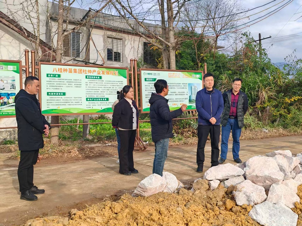桂林市兴安县委副书记蔡尧一行到八桂种苗集团桂林市杜仲苗圃考察调研