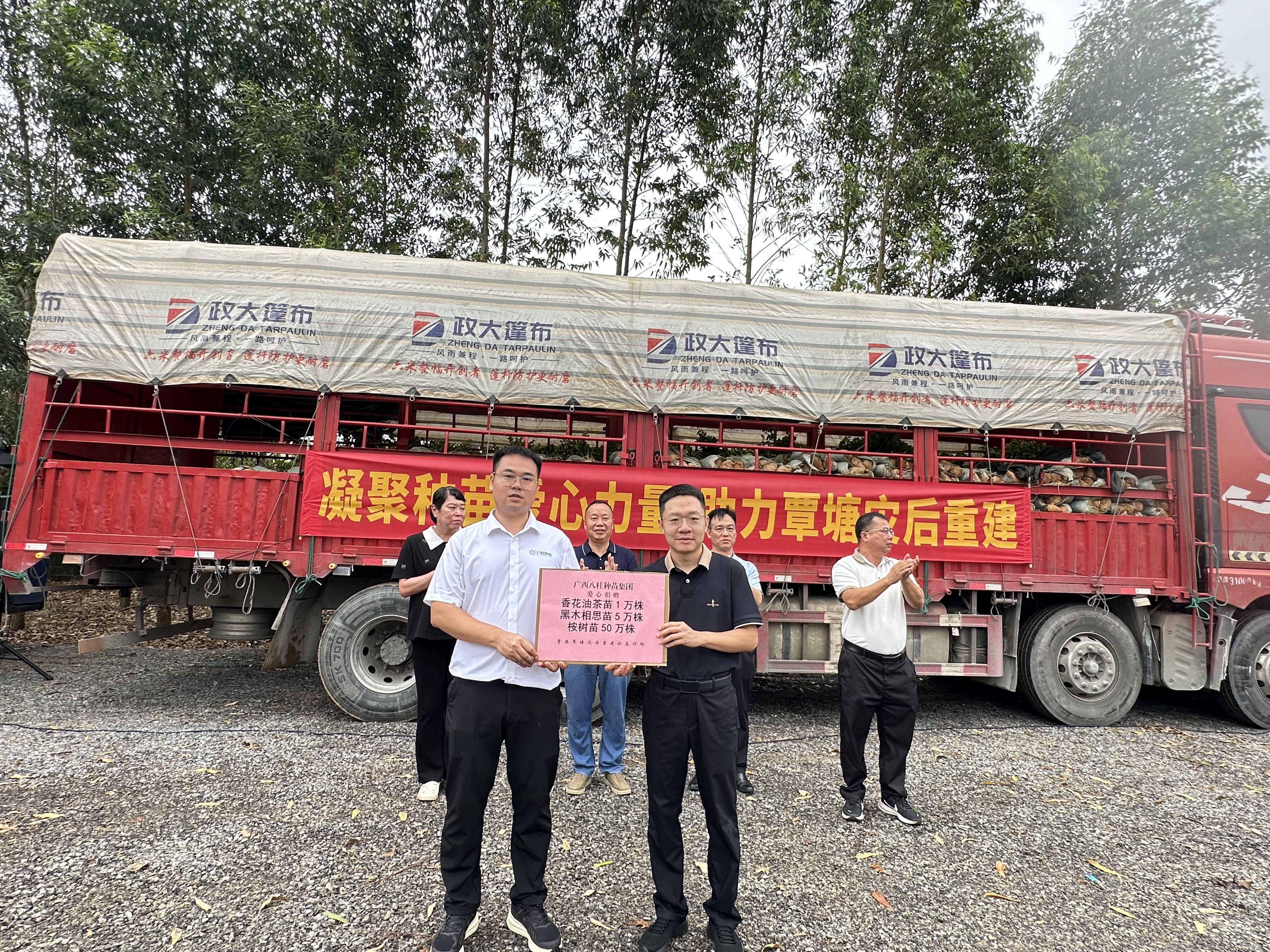 种苗赋能助复产 国企担当护青绿 八桂种苗集团助力贵港市覃塘区灾后生态修复