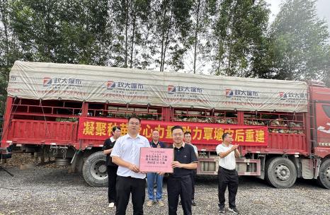种苗赋能助复产 国企担当护青绿 八桂种苗集团助力贵港市覃塘区灾后生态修复